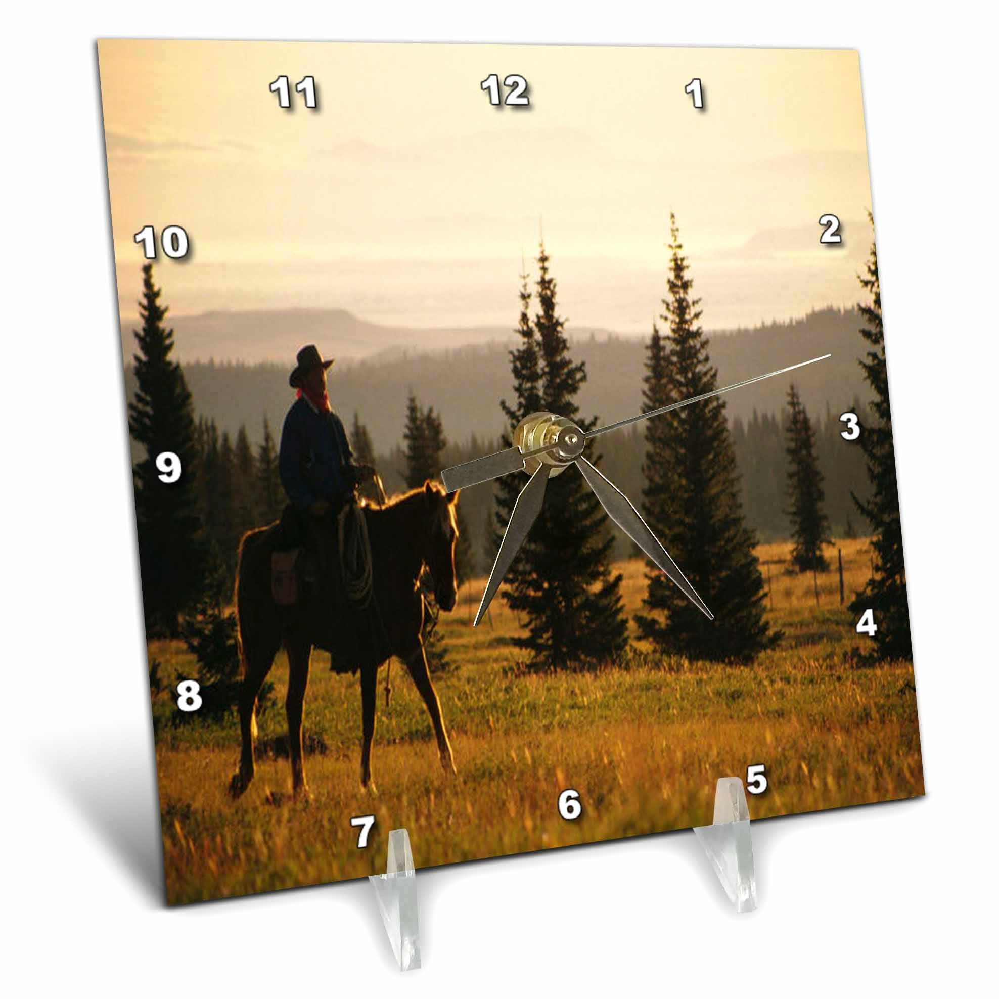 3dRose TDSwhite – Horse Equine Photos - Western Horse Under Saddle - Desk Clocks (dc_285550)