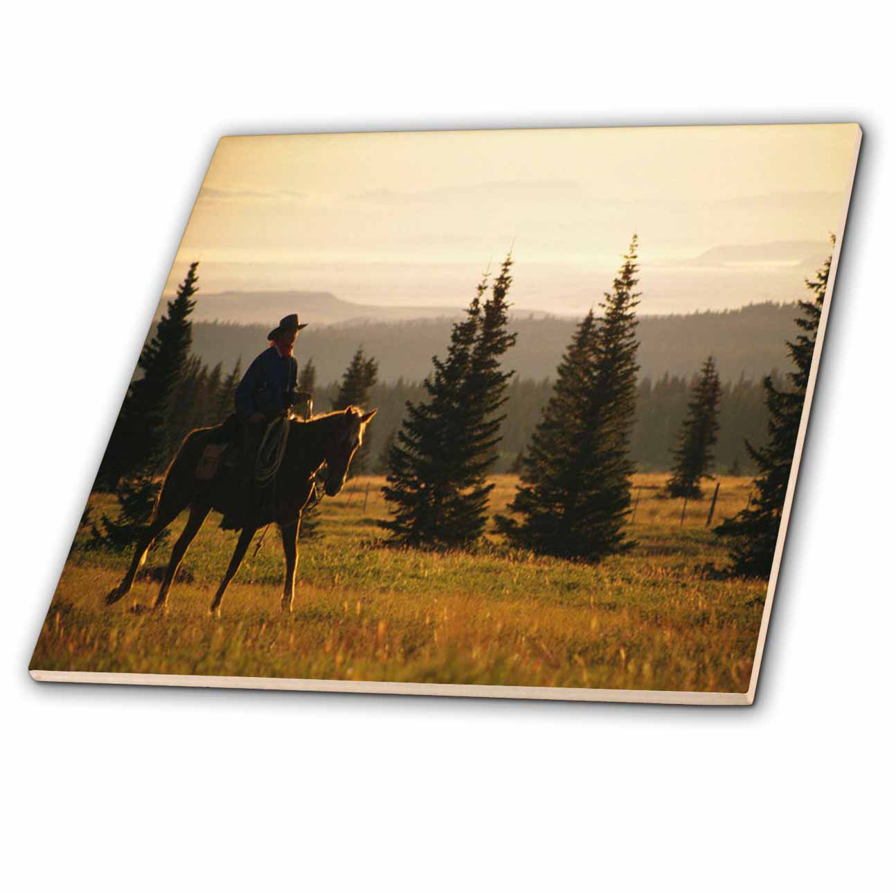 3dRose TDSwhite – Horse Equine Photos - Western Horse Under Saddle - Tiles