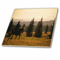 3dRose TDSwhite – Horse Equine Photos - Western Horse Under Saddle - Tiles